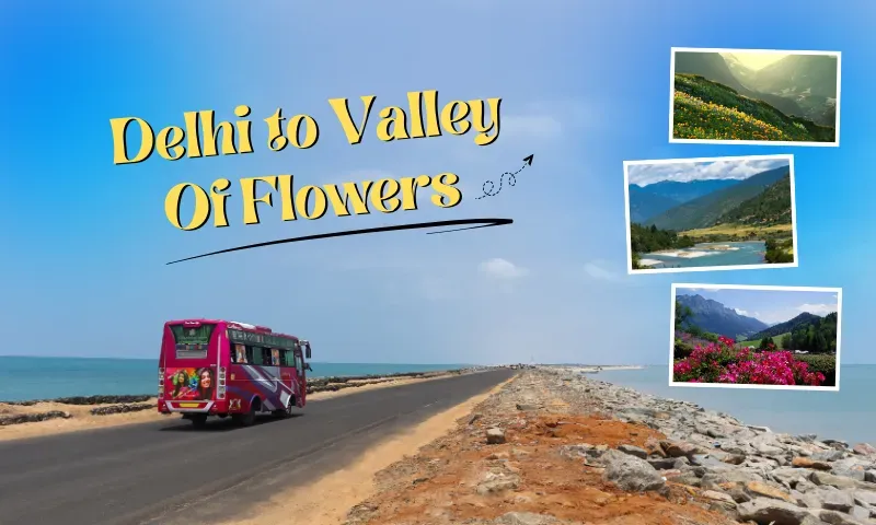 Delhi to Valley Of Flowers Complete Travel Guide 2026